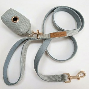 Set pour chien en tweed bleu: collier réglable, laisse, porte-sacs taille l