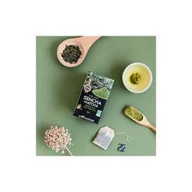 Thé vert sencha & matcha bio – infusettes pratiques 18x2g