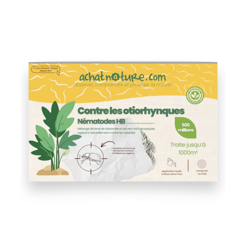Nématodes hb - 1000 m² - otiorhynques - 500 millions