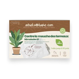 Nématodes sf contre mouches des terreaux