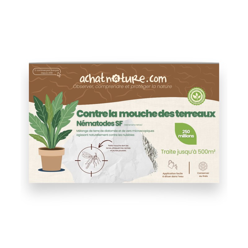 Nématodes sf - 500 m² - mouches des terreaux - 250 millions
