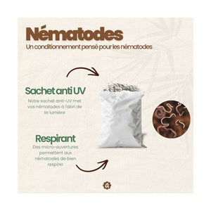 Nématodes sf - 10 fourmilières - fourmis  - 10 millions
