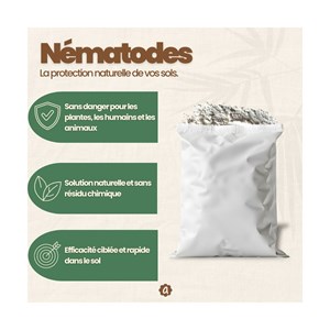 Nématodes sf - 10 fourmilières - fourmis  - 10 millions