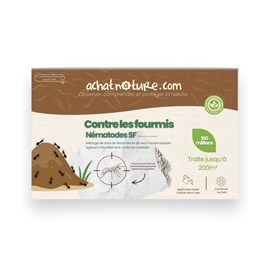 Nématodes sf - 200 m² - fourmis  - 100 millions