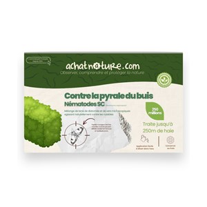 Nématodes sc - 250 m de haie - pyrale du buis - 250 millions