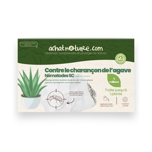 Nématodes sc - 1 plante - charançon de l'agave - 5 millions