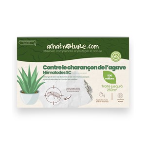 Nématodes sc - 250 m² - charançon de l'agave - 500 millions