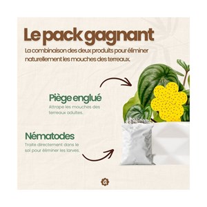 Kit contre mouches des terreaux - nématodes et pièges englués