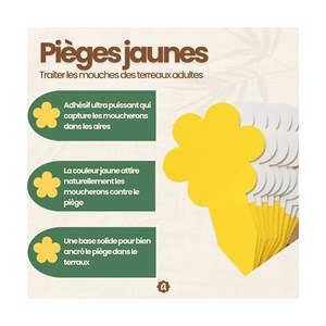 Kit contre mouches des terreaux - nématodes et pièges englués