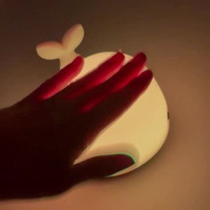 Mini veilleuse led silicone christian la baleine