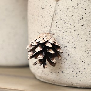 Cache-pot pomme de pin - ø19 x ht.16 cm pour pot ø14.5