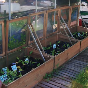 Serre en bois modèle venezia