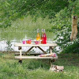 Table pique-nique enfant chinchilla