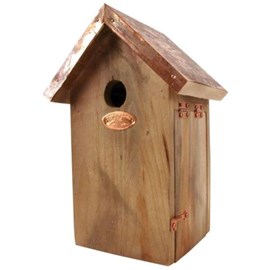 Nichoir mésange bleu