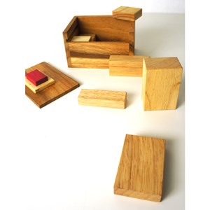 Casse-tête le bouton poussoir