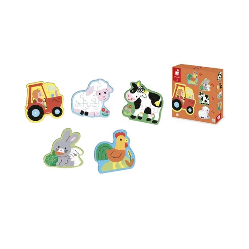 5 puzzles evolutifs ferme