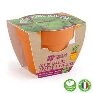 Trèfle porte-bonheur à cultiver chez soi