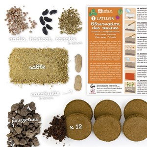 Vivarium découverte racines et lombrics