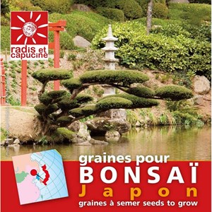 Son bonsaï de pin à cultiver soi-même