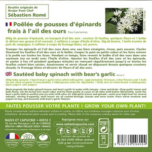 Ail des ours à semer pour la cuisine