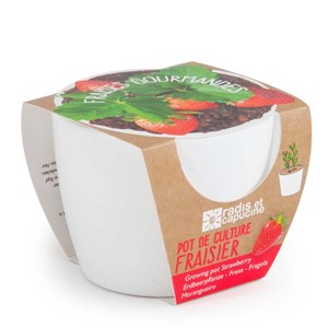 Pot pour le semis de fraisier des bois