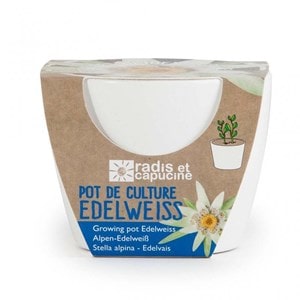 Pot de culture pour edelweiss