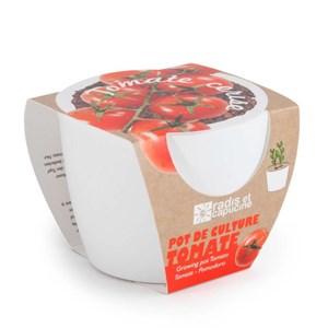 Pot pour semis de tomate-cerise