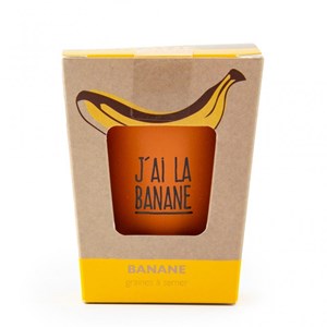 Kit j'ai la super banane ! À semer