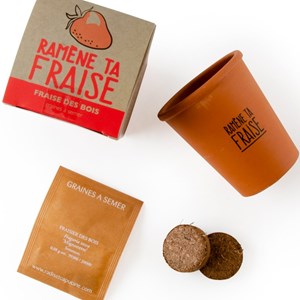 Kit ramène ta fraise à faire pousser