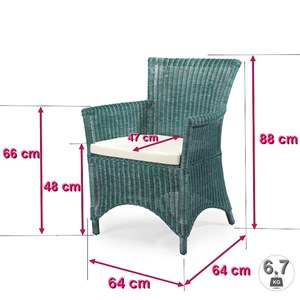 Fauteuil rosas vert en osier fitrit