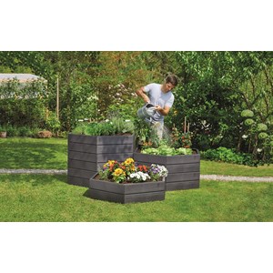 2 carrés potager