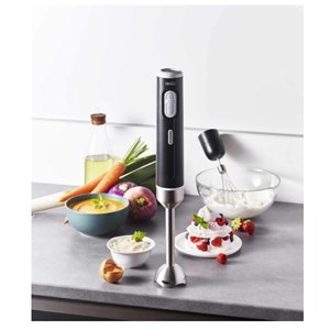 Mixeur plongeant rechargeable 11.1v noir