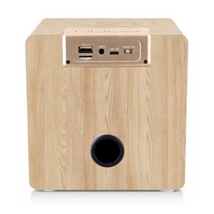 Enceinte nomade bluetooth bois