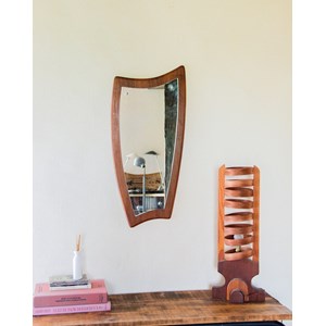 Igor, le miroir rétro n°491