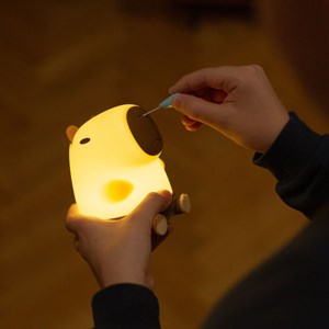 Veilleuse rechargeable capibara snotty