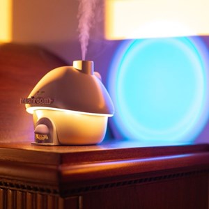 Humidificateur maison champignon rose
