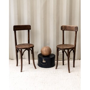 Paire de chaises en bois n°456