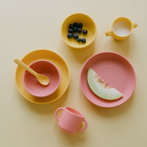 Set 2 assiettes ventouses en silicone - coral &nbsp; mimosa