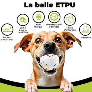 Prévente: lanceur de balle auto chien