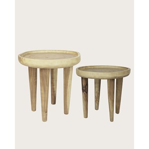Léothéo - lot de 2 tables basse en teck massif