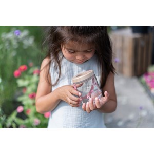 Boite à insectes fairy garden