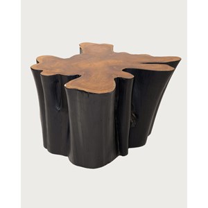 Timberly - table basse tronc d'arbre massif