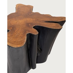 Timberly - table basse tronc d'arbre massif