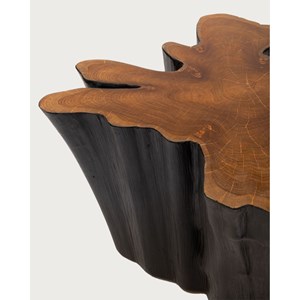 Timberly - table basse tronc d'arbre massif