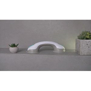 Poignée de maintien