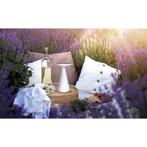 Lampe de table de batterie solaire légère palu - blanc