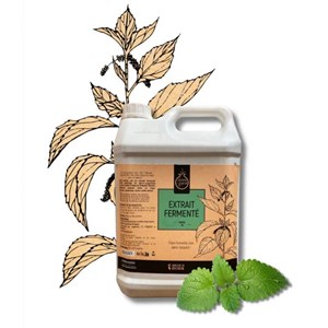 Extrait fermenté - ortie 1l ou 5l