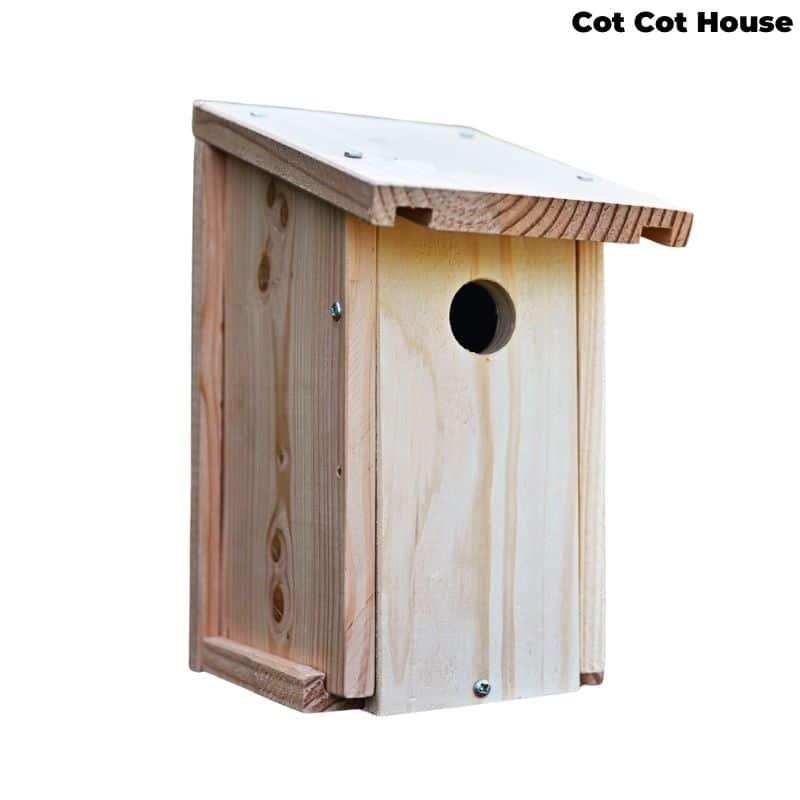 Nichoir à oiseaux en kit pour mésanges