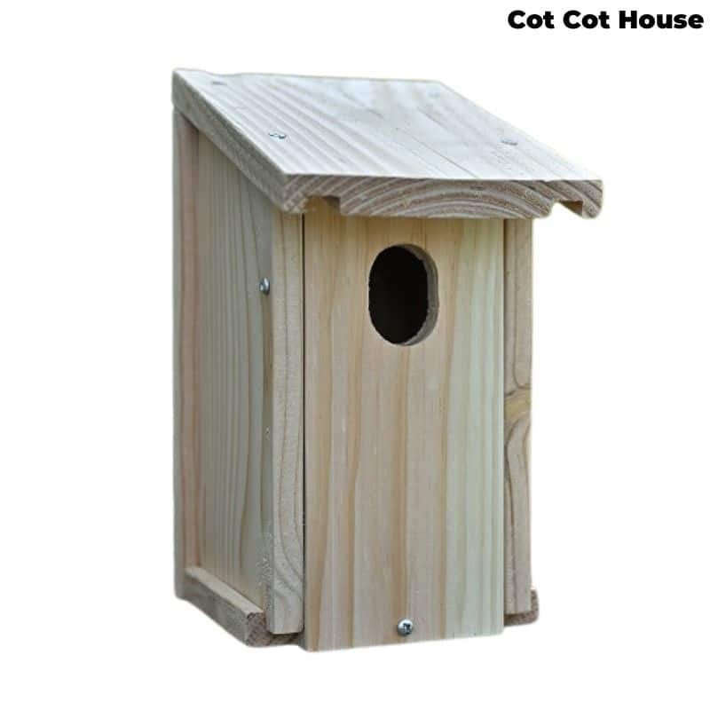 Nichoir à oiseaux en kit pour rouge-queue
