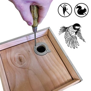 Plaque de protection pour nichoir protecpiaf